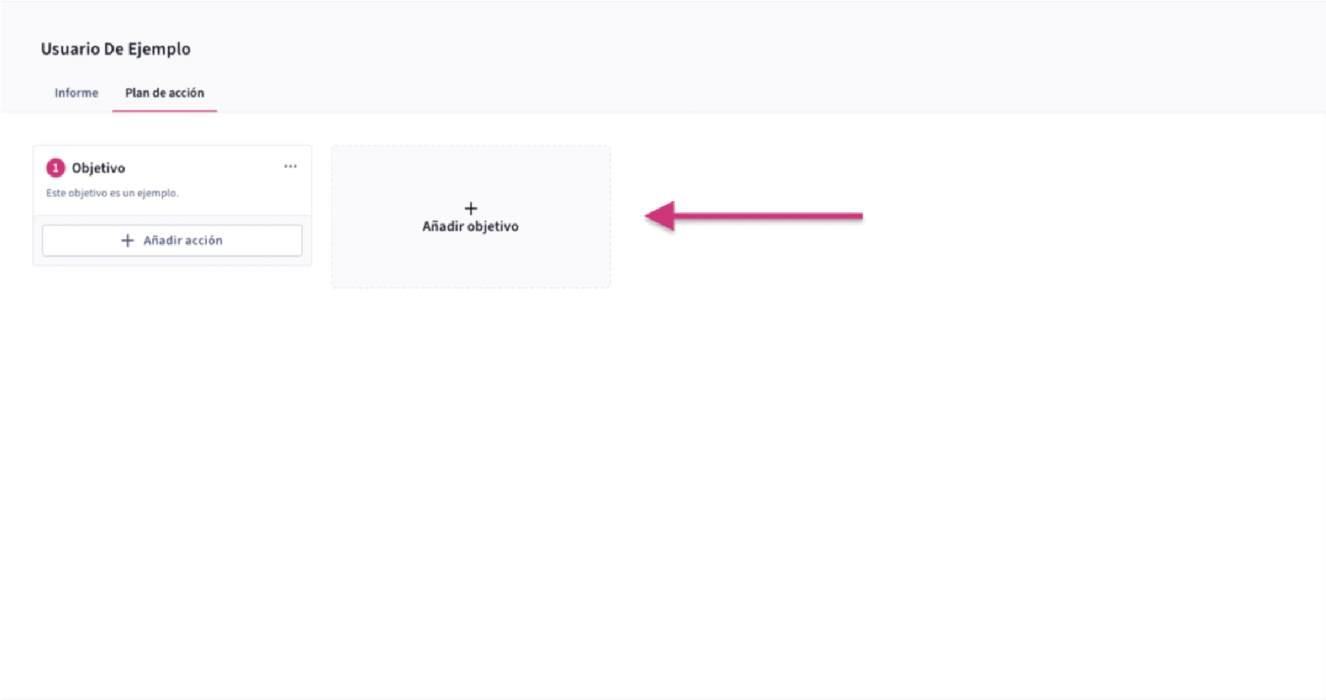 Plan de acción