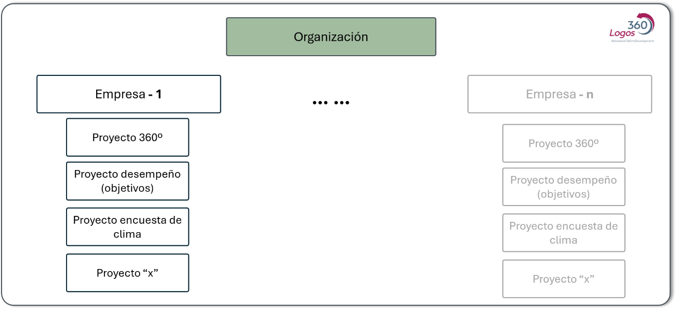 Estructura organización – empresa